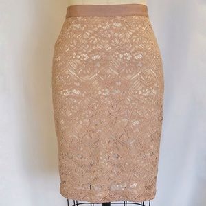 Club Monaco Embroidered Lace Pencil Skirt